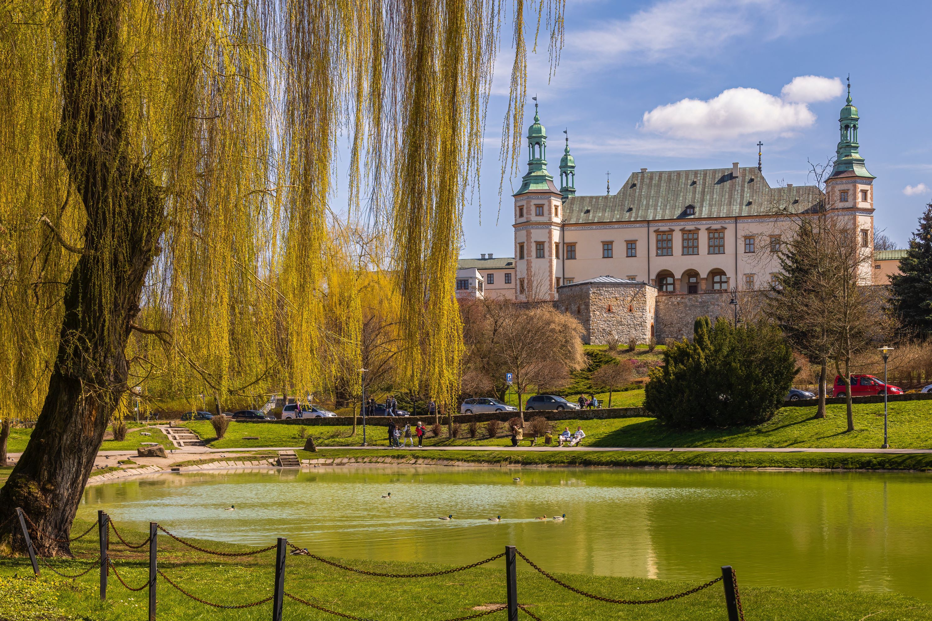 podgląd